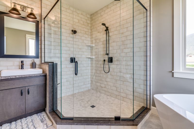 Sleek Shower Renovation